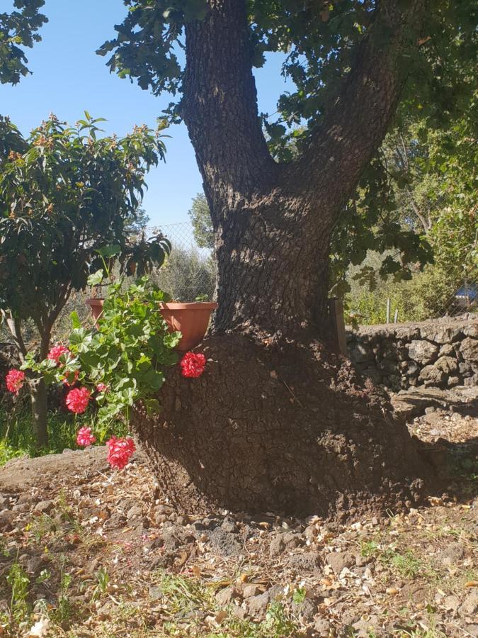 Alle pendici dell'Etna Ragalna Esterno foto