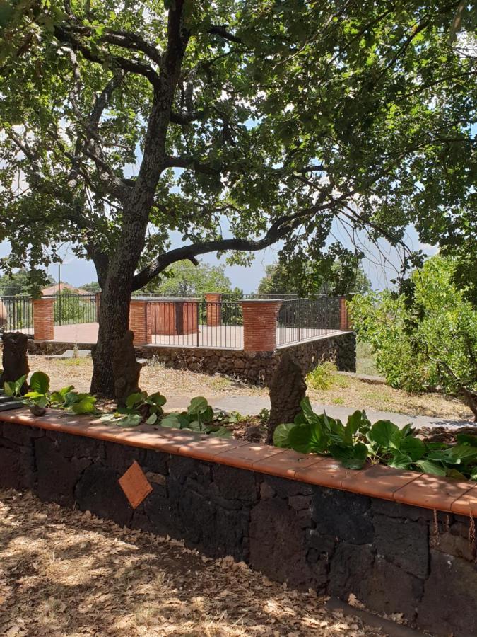 Alle pendici dell'Etna Ragalna Esterno foto